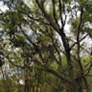 Meet your Posher, Kitty